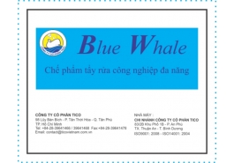 Blue Whale / Blue Whale+